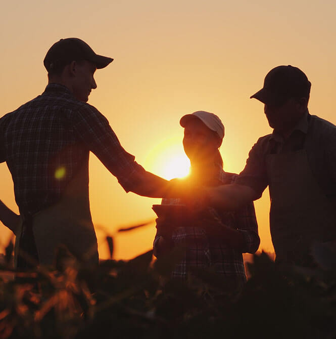 farmers in a field shaking hands